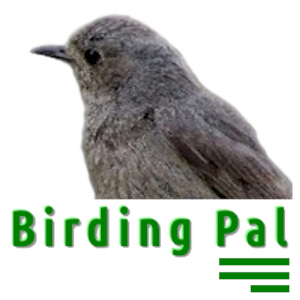 Birding Pal Logo